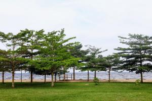 a group of trees in a field next to the ocean at Dream Land Resort Beach in Mpigi