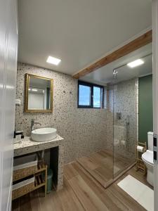 a bathroom with a sink and a glass shower at Dealul Notarasului Retreat in Gara Piatra Craiului +34 photos