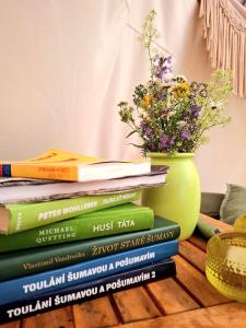 a stack of books and a vase with a flower at Cihelna 10 Teepee&Wine in Hlavňovice