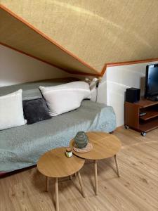 a room with a bed and a table and a tv at Pension 311 Vrchlabí in Vrchlabí