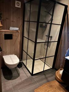 a bathroom with a shower and a toilet at Harevadet 217 in Volda