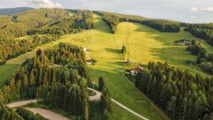 an aerial view of a green field with trees at Hotel Sonnenalm Stuhleck in Spital am Semmering