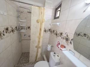 a bathroom with a shower and a toilet and a sink at Vila Lara 2 Mai in 2 Mai