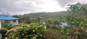 a view of a hill with a house and flowers at HillView in Port Mathurin