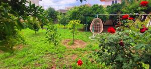 a garden with red flowers and a fan at Garden house escape in Amarynthos