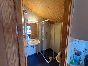 a bathroom with a sink and a shower at Hytte Camp Nordkapp - Blue in Skarsvåg