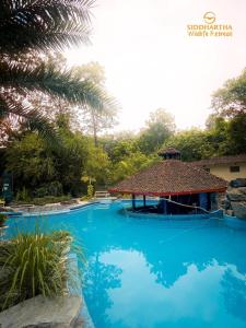 a large blue pool with a gazebo at Siddhartha Wildlife Retreat in Meghauli