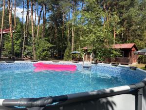 a swimming pool with a pink slide in the water at Forest Villa- domki in Susiec +19 photos