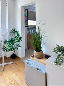 a kitchen with potted plants and a white refrigerator at Apartament Tęczowy Tukan -1 piętro in Kwidzyn