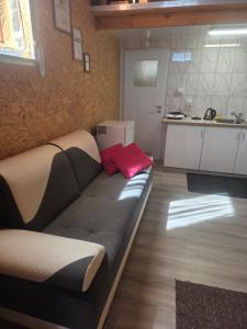 a couch in a living room with a kitchen at Agroturystyka GRAMBURG in Zblewo +9 photos