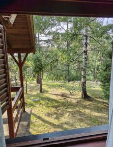 a window view of a forest from a house at Vikendica Vidik in Divčibare +1 photo