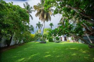 a yard with palm trees and a house at KapuGedara297 in Galle