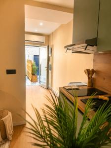 a kitchen with a counter and a plant in a room at Côte-et-vins Gîte Le Cocon in Chagny