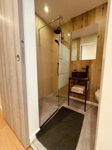a bathroom with a glass shower and a toilet at Côte-et-vins Gîte Le Cocon in Chagny