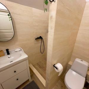 a bathroom with a toilet and a sink and a mirror at K14 Stay 3 in Riga