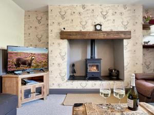 a living room with a fireplace with a tv and a stove at Wingate Farm Countisbury in Countisbury