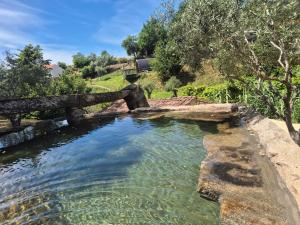a pool of water with a stone bridge at Casa grilo valença in Picões +13 photos