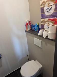a bathroom with a toilet and a pile of toilet paper at Appartment on Dorpsstraat in Bleskensgraaf