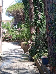 a walkway with flowers and plants in a garden at Sior in Golem