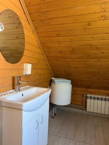 a bathroom with a sink and a toilet at Садиба Сойми in Soymy +41 photos