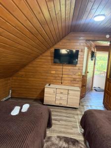 a bedroom with two beds and a flat screen tv at Садиба Сойми in Soymy