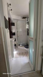 a bathroom with a glass shower and a toilet at Casa Iacob in Sighişoara
