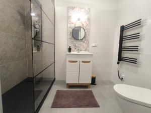 a bathroom with a sink and a mirror at B&B Royal Liberty in Ústí nad Labem +43 photos