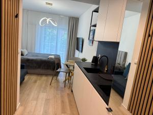 a kitchen and a living room with a bed at Poznań Plac Wolności 6 Bond in Poznań