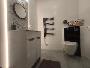 a bathroom with a toilet and a mirror on the wall at B&B Royal Liberty in Ústí nad Labem