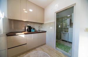 a kitchen with white cabinets and a sink and a shower at The Best Lake View Studios Borisic in Vranjina