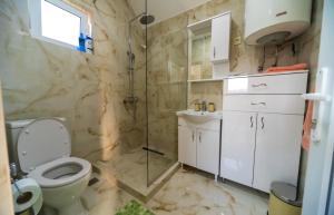 a bathroom with a toilet and a glass shower at The Best Lake View Studios Borisic in Vranjina