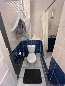 a blue and white bathroom with a toilet and a mirror at Appartement Strasbourg Cathédrale in Strasbourg +18 photos