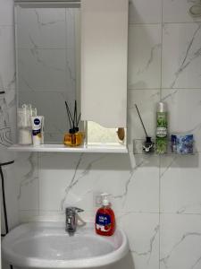a bathroom sink with a mirror and a bottle of soap at Asia Street in Bishkek +14 photos