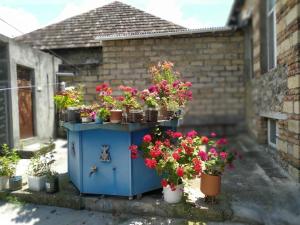 a blue table with potted flowers on top of it at Old House in Sheki +13 photos