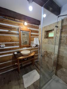 a bathroom with a sink and a shower at Căsuța Anei in Rîmeţi-Valea Inzelului