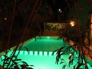 a swimming pool at night with plants in the foreground at Riad Perlamazigh in Zagora