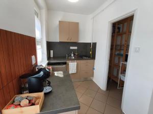 a kitchen with a sink and a counter top at Galamb Odú Apartman in Baja +5 photos