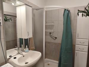 a bathroom with a sink and a shower at Galamb Odú Apartman in Baja