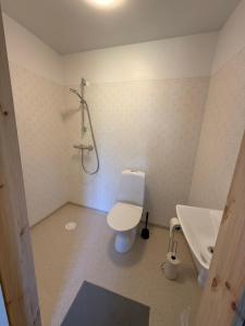 a bathroom with a toilet and a shower and a sink at Stationshuset i Immeln in Immeln