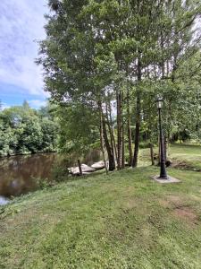 a street light in the grass next to a river at Kattugglans Gästrum 2 in Ljungby +16 photos