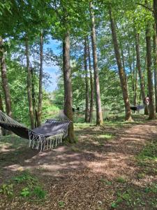 a hammock in the middle of a forest at Kattugglans Gästrum 1 in Ljungby