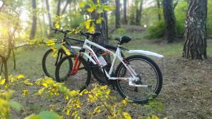 two bikes parked next to each other in a forest at Forest Edge Retreat in Wizna