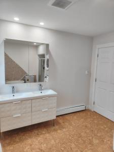 a bathroom with a sink and a large mirror at Central Light-Filled 3rd Floor -3C in Halifax