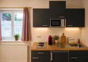 a small kitchen with a sink and a microwave at Seeparadies in Unter Feuchten