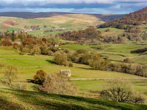 a green field with sheep in the hills at Rosemount Cottage in Salterforth