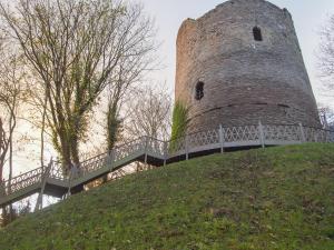 a large castle on top of a grassy hill at Penmaen in Talgarth +17 photos