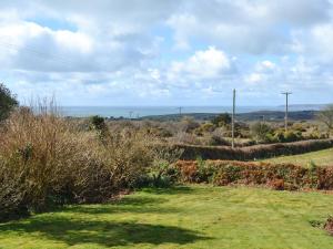 a field of grass with the ocean in the background at Merriview in Germoe