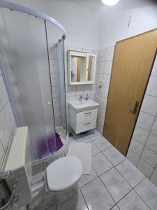 a bathroom with a toilet and a sink and a mirror at Apartments and Rooms Jasna in Hvar +70 photos