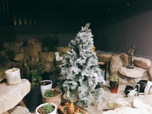 IDEA Hotel في بوسان: شجرة عيد الميلاد بيضاء تجلس على طاولة بجوار