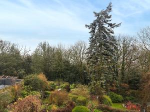 a tall tree in the middle of a garden at Treetops in Baildon +14 photos